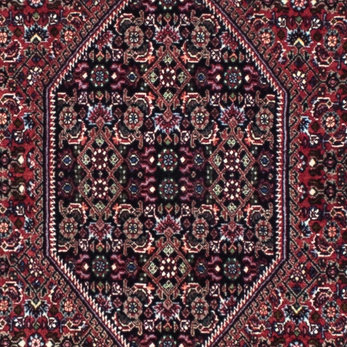 Runner Persisk matta - Bijar - 253 x 72 cm - rost