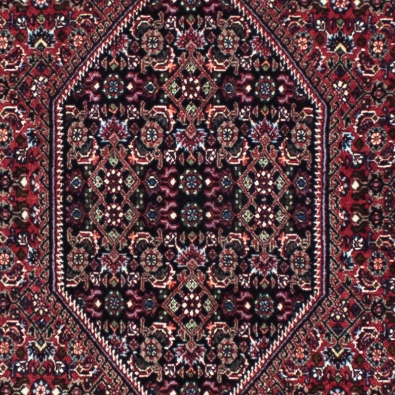 Runner Persisk matta - Bijar - 253 x 72 cm - rost