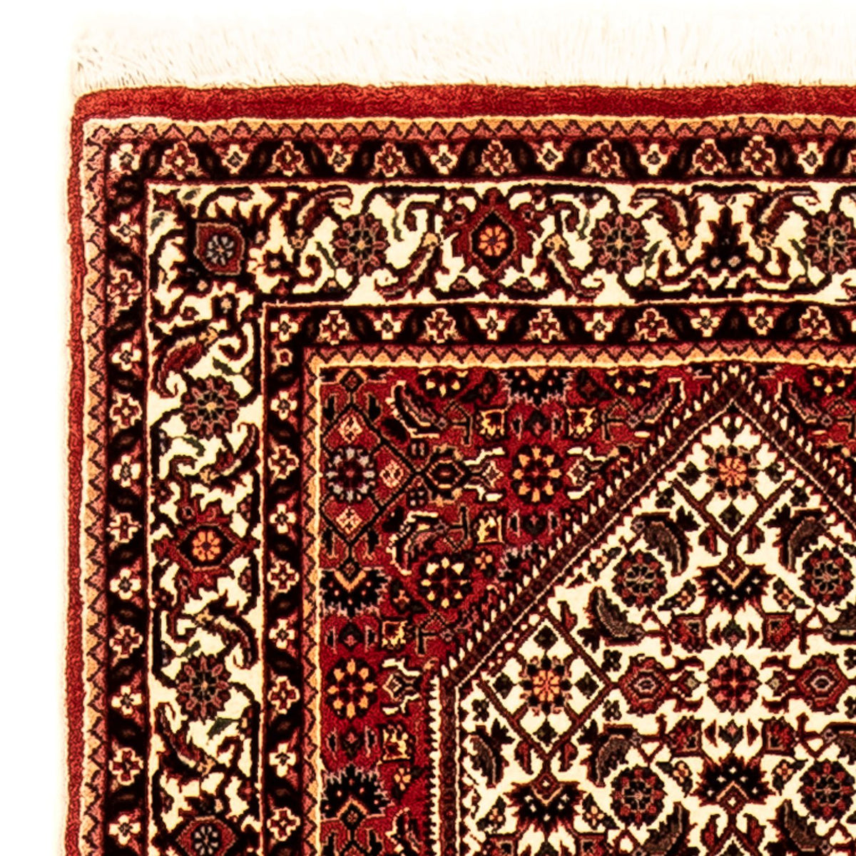 Runner Persisk matta - Bijar - 247 x 73 cm - flerfärgad