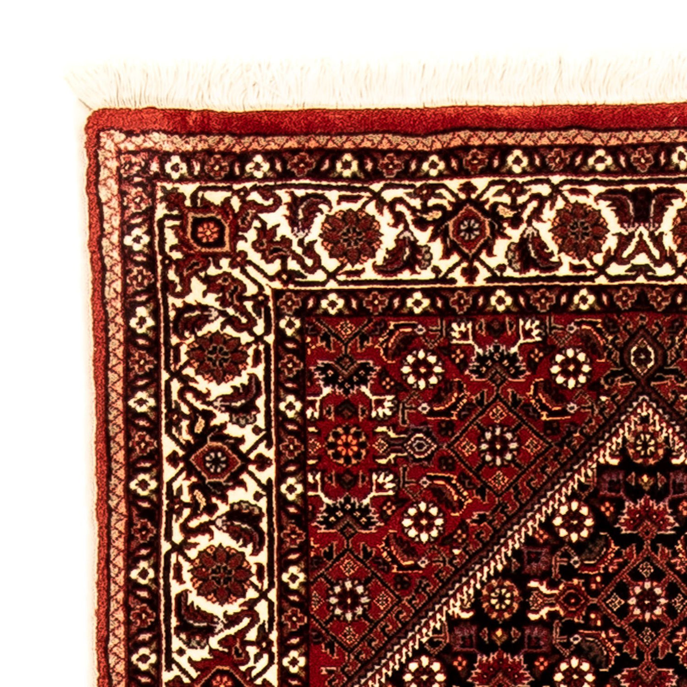 Runner Persisk matta - Bijar - 295 x 71 cm - flerfärgad