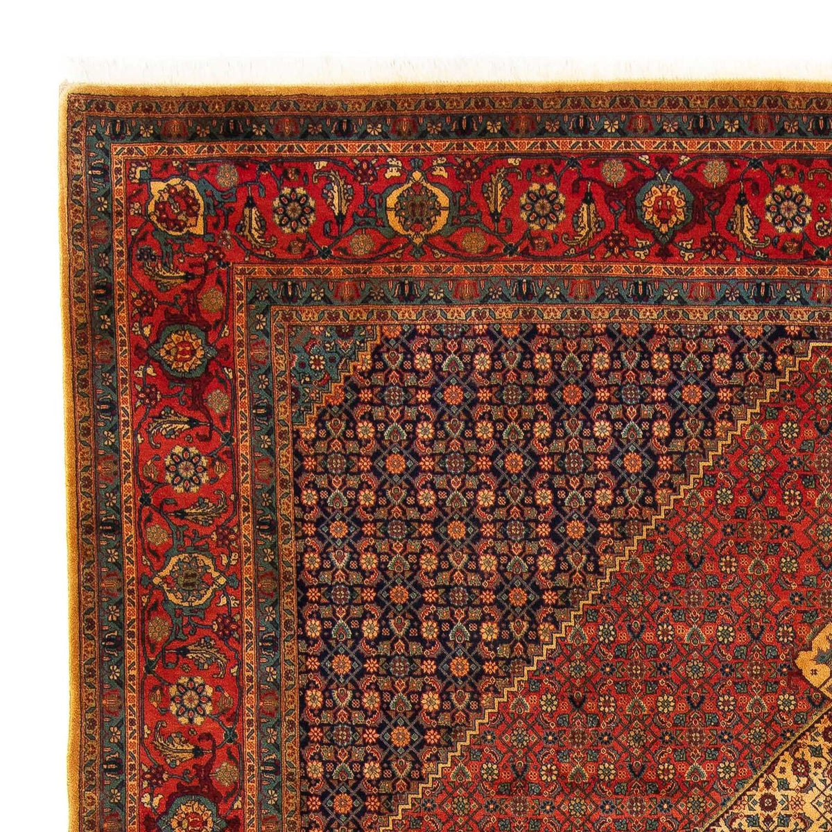 Tabriz - 50 Raj Mattan 251x337cm - Persisk matta