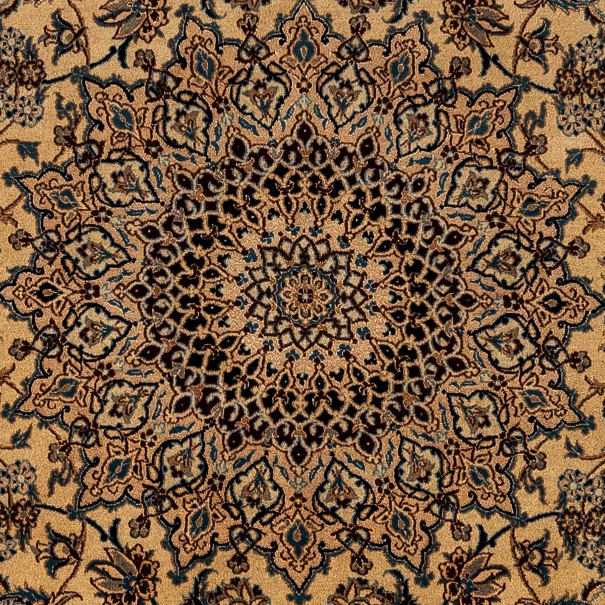 Persisk matta - Nain - Royal - 373 x 246 cm - mörk beige