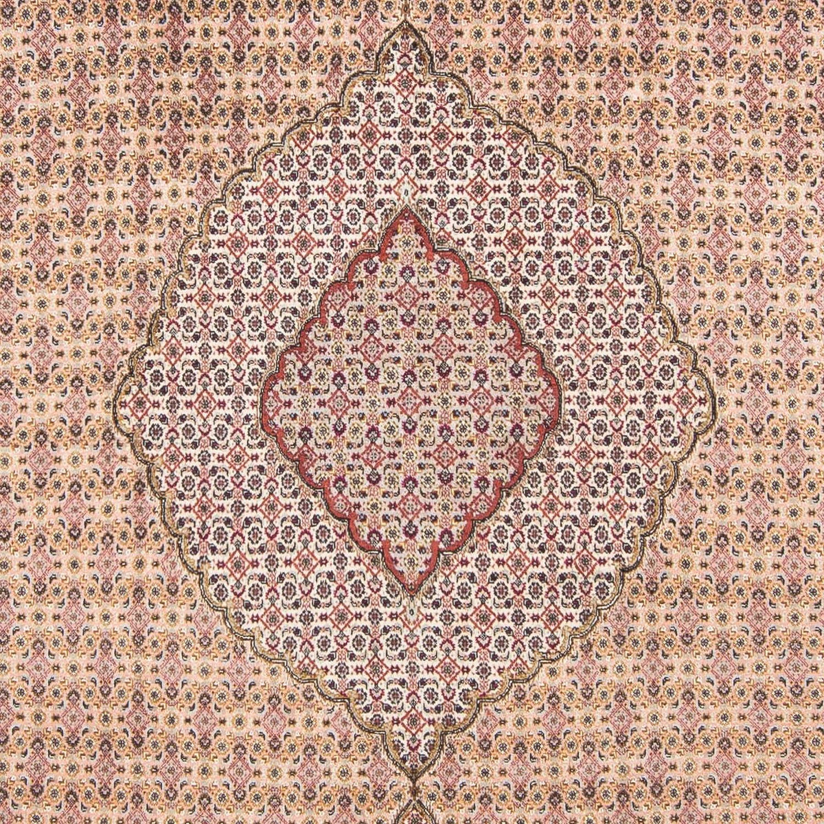 Persisk matta - Tabriz - 288 x 197 cm - ljusbrun