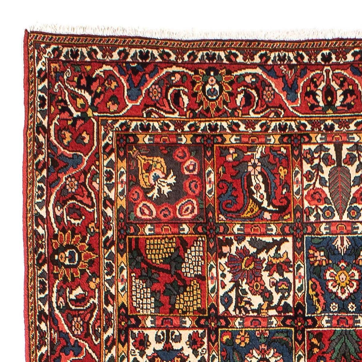 Persisk matta - Nomadic - 246 x 161 cm - flerfärgad