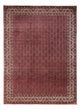 Bidjar - Takab Mattan 340x252cm - Persisk matta
