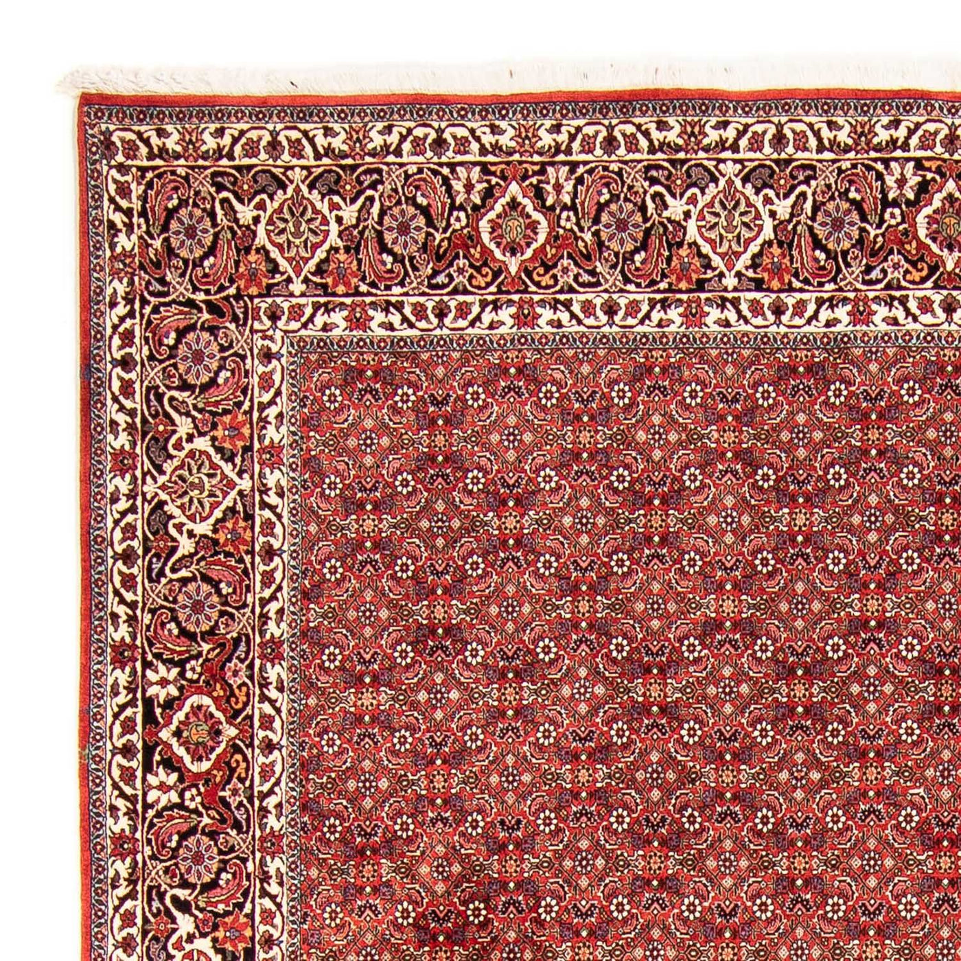 Bidjar Mattan 290x250cm - Persisk matta