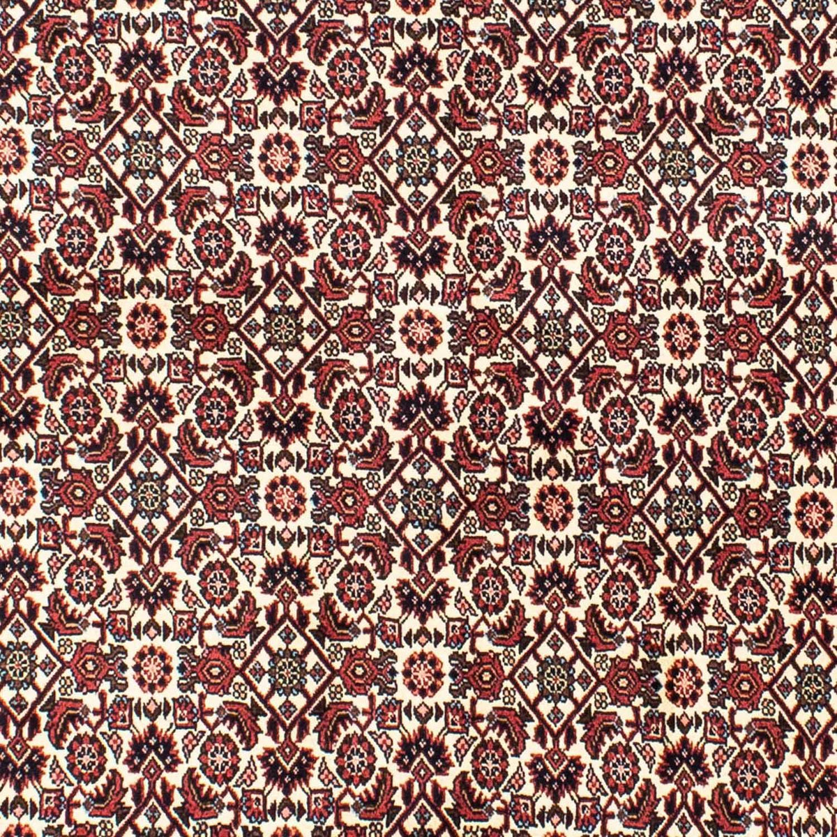 Persisk matta - Bijar - 202 x 145 cm - beige