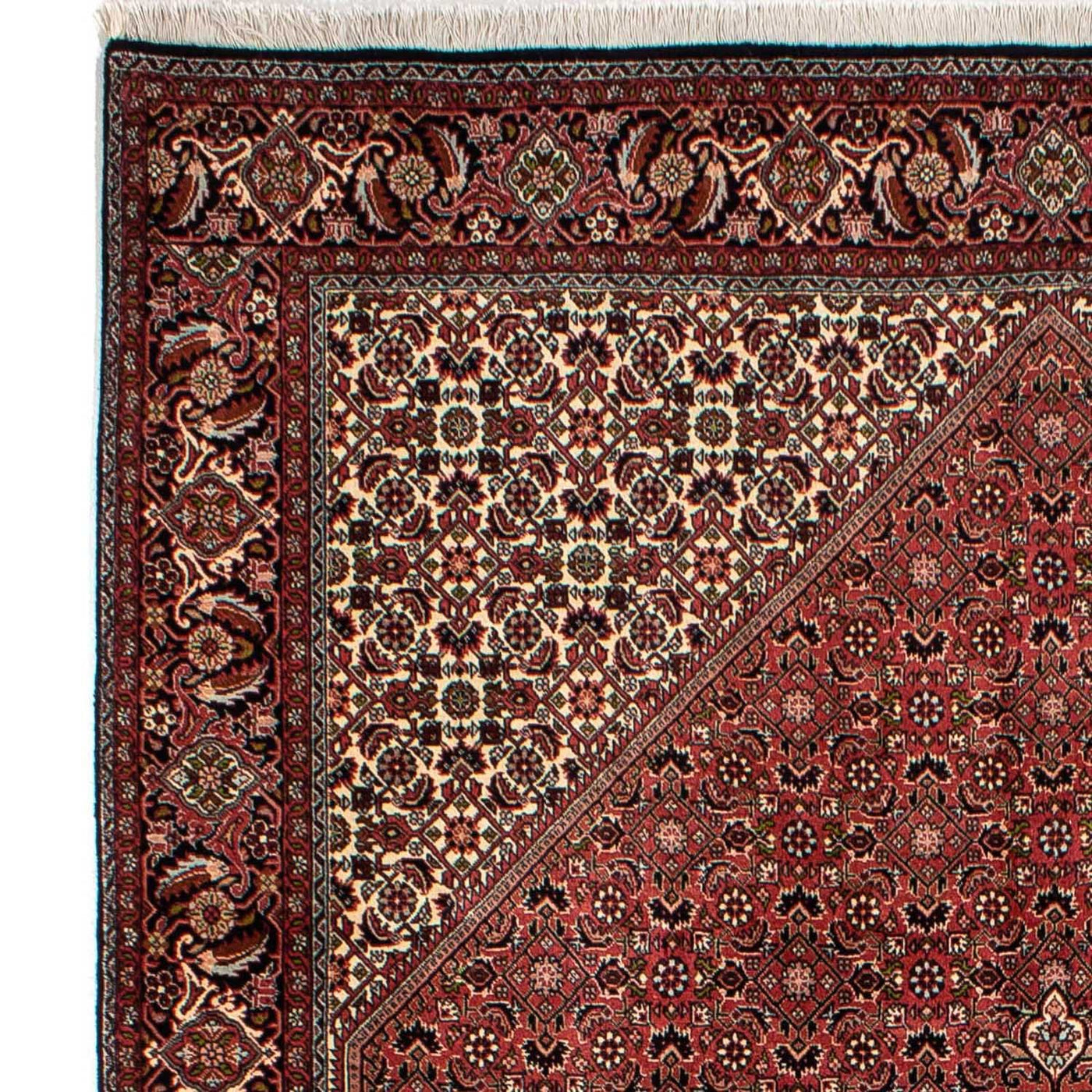 Bidjar Mattan 300x202cm - Persisk matta