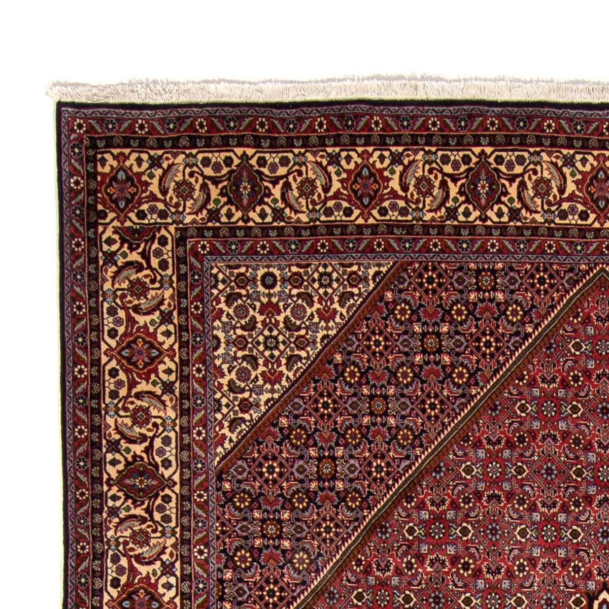 Bidjar Mattan 250x338cm - Persisk matta