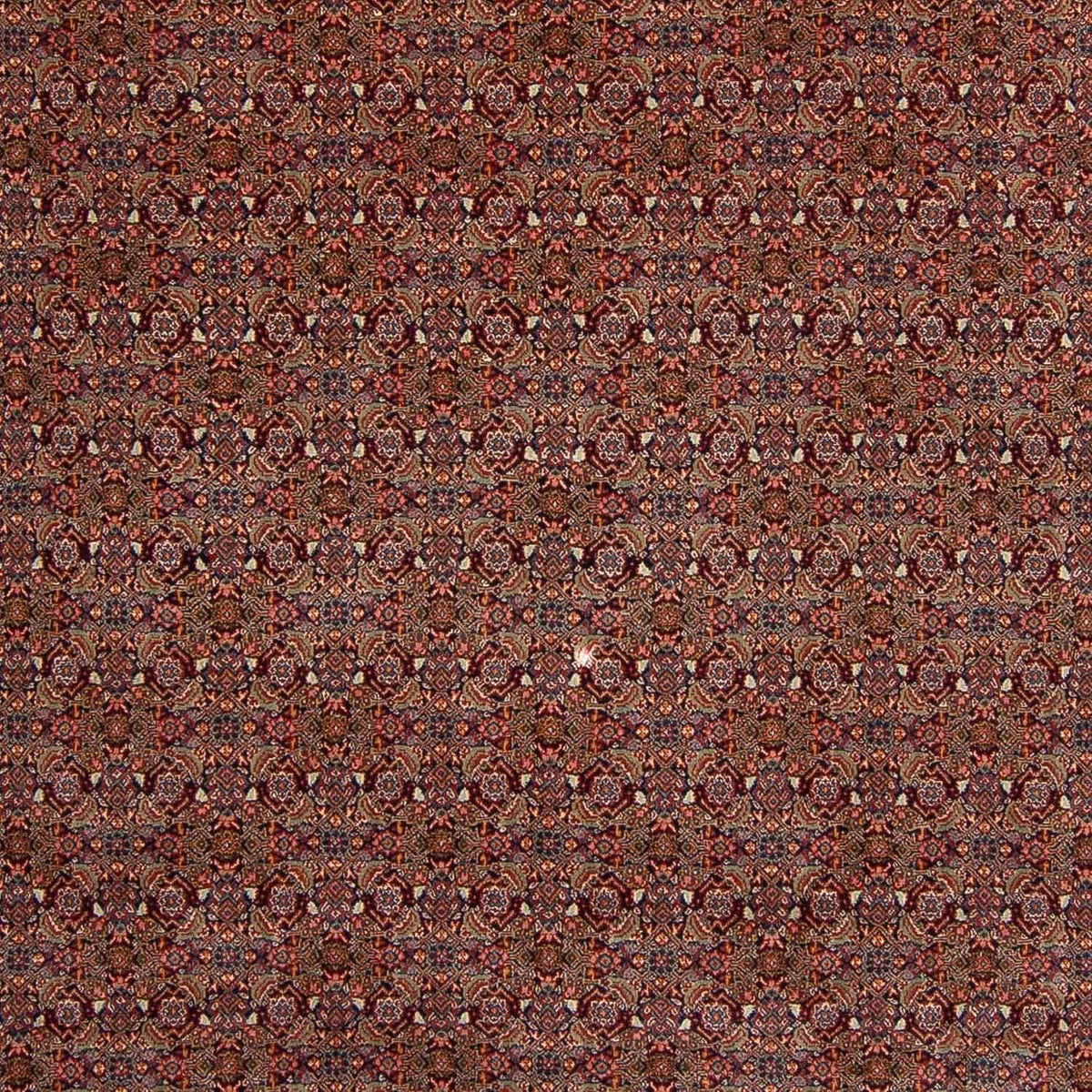 Persisk matta - Nomadic - 348 x 253 cm - brun