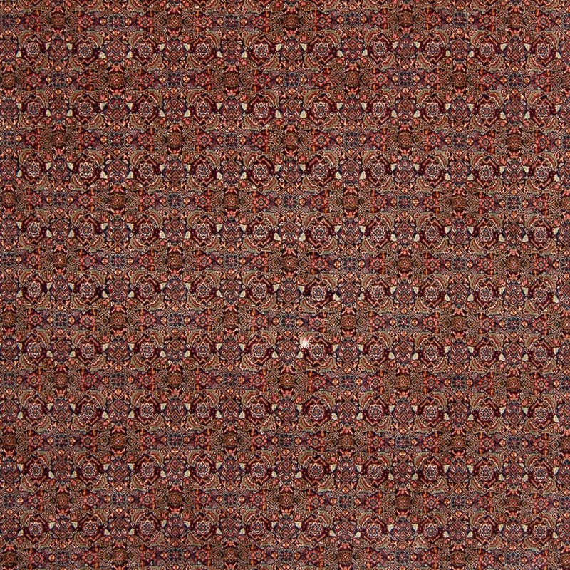 Persisk matta - Nomadic - 348 x 253 cm - brun