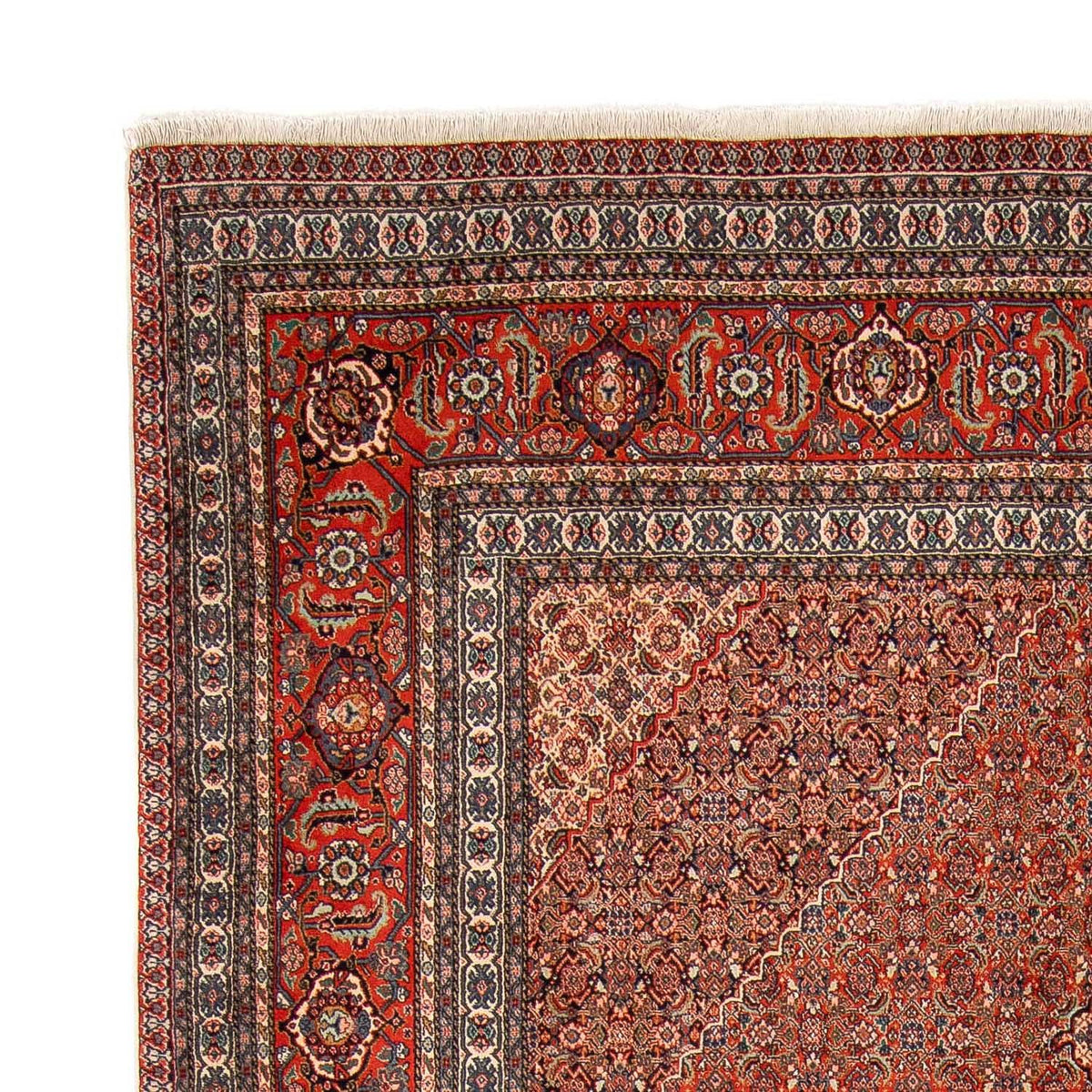 Sarab Mattan 248x350cm - Persisk matta