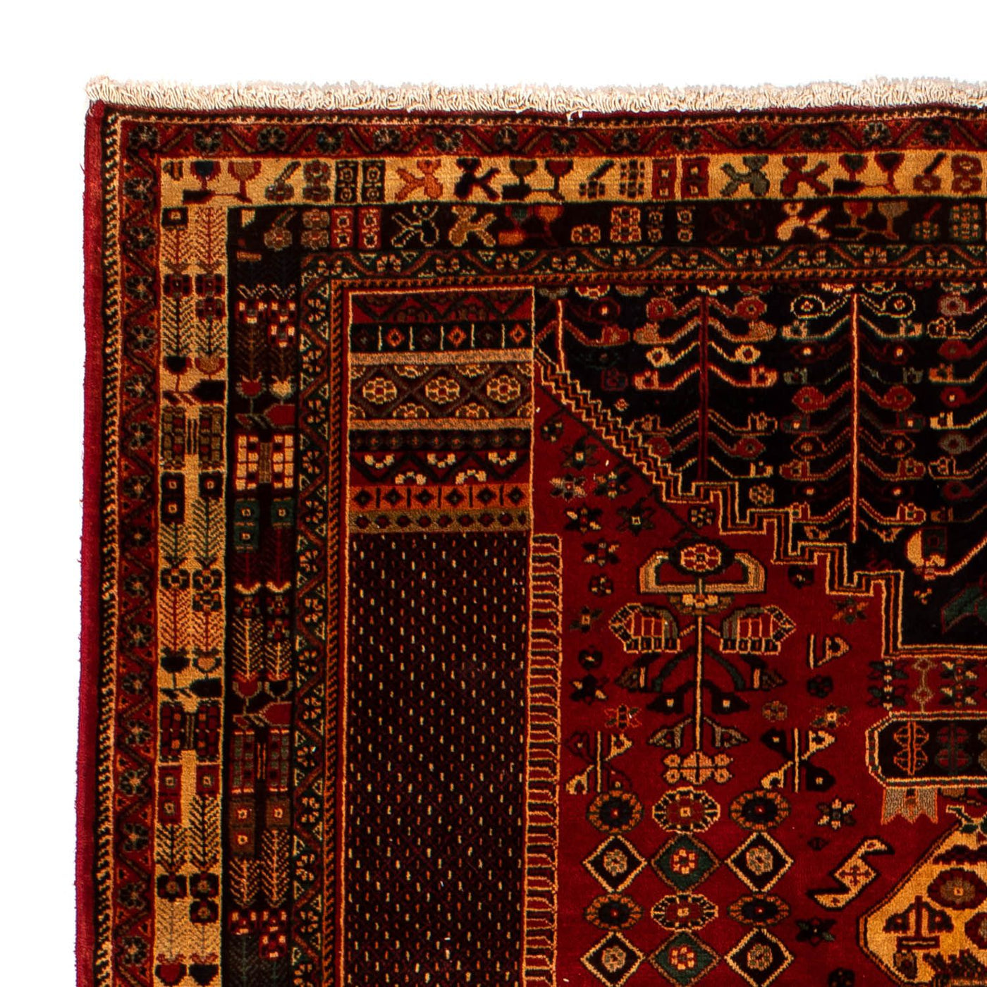 Shiraz Mattan 291x196cm - Persisk matta