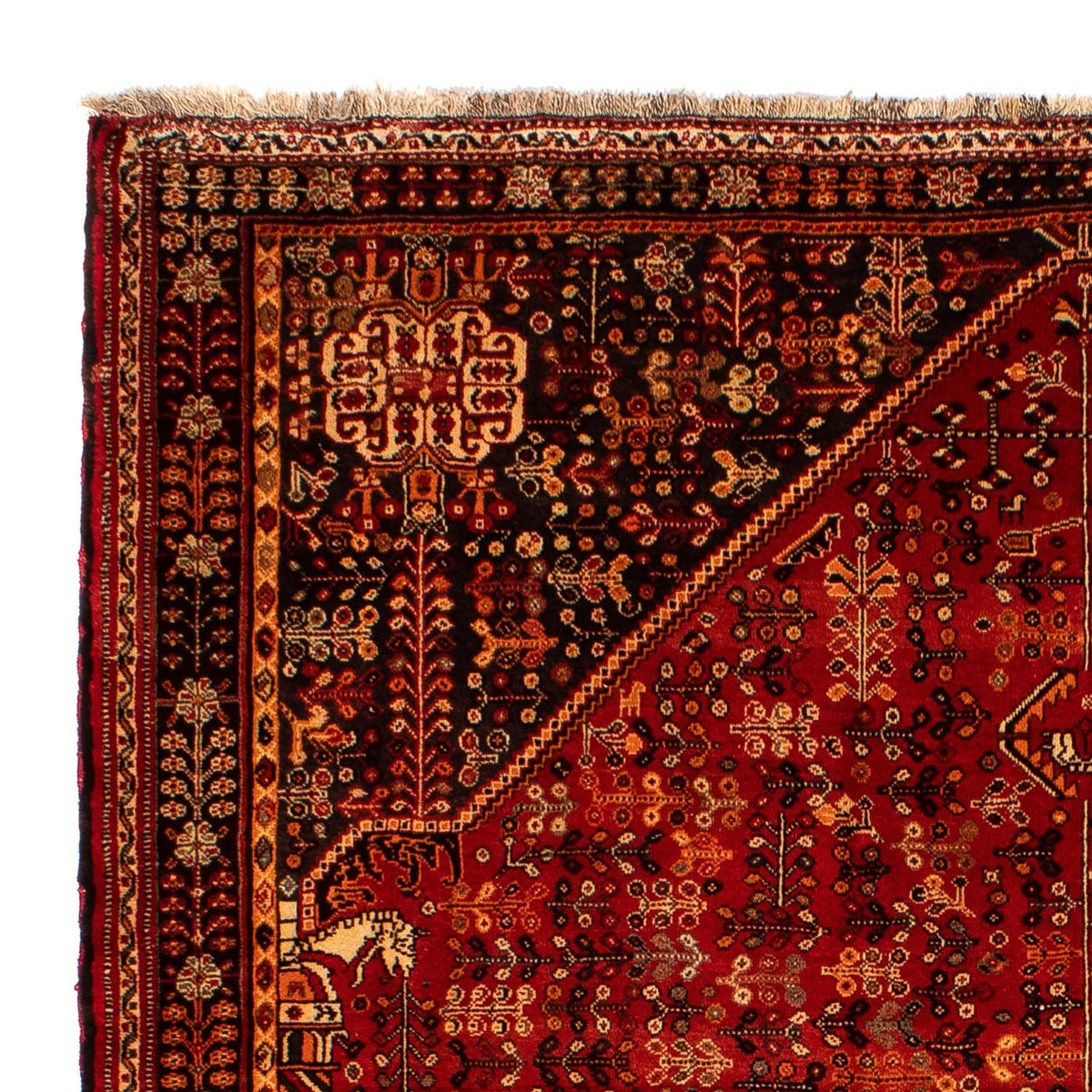 Qashqai Mattan 203x288cm - Persisk matta