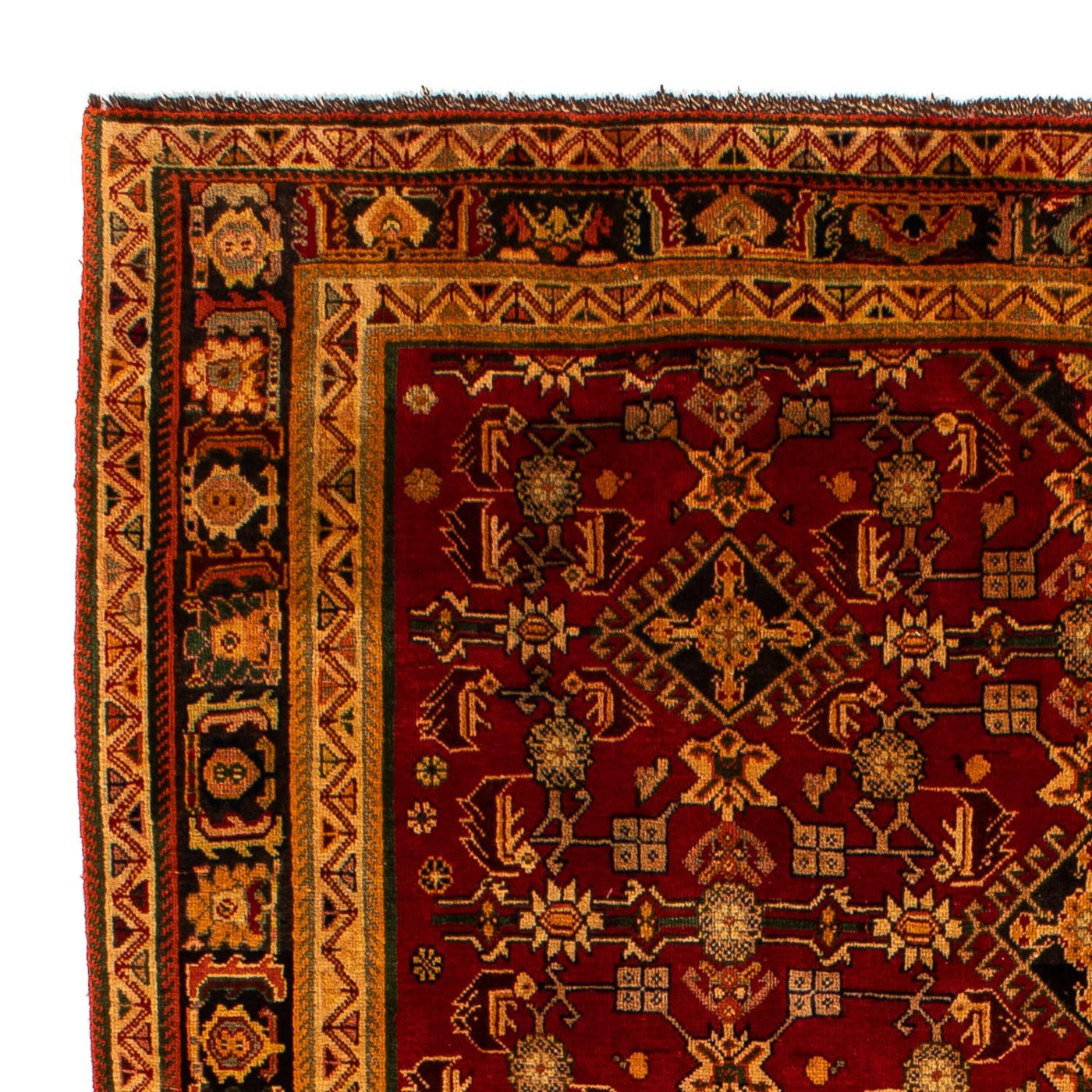 Shiraz Mattan 296x190cm - Persisk matta