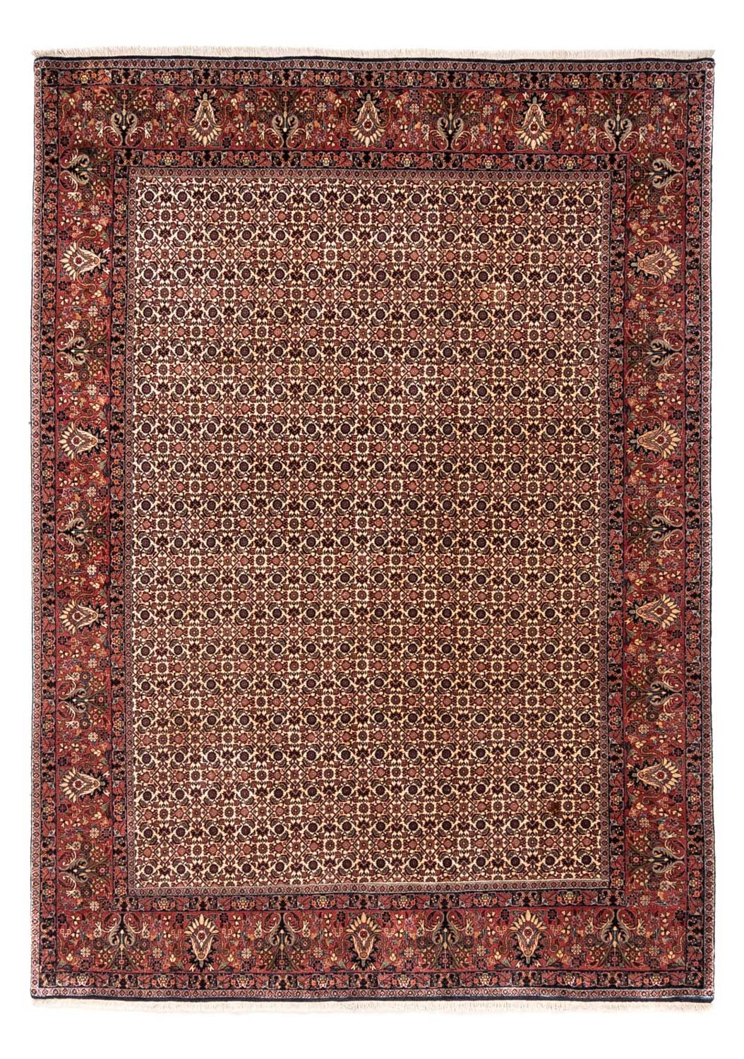 Persisk matta - Bijar - Royal - 287 x 208 cm - beige