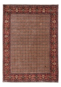 Persisk matta - Bijar - Royal - 287 x 208 cm - beige