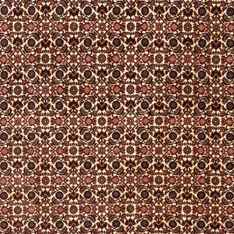 Persisk matta - Bijar - Royal - 287 x 208 cm - beige