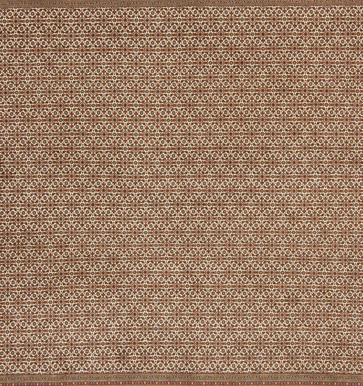 Persisk matta - Tabriz kvadrat  - 258 x 251 cm - ljusbrun