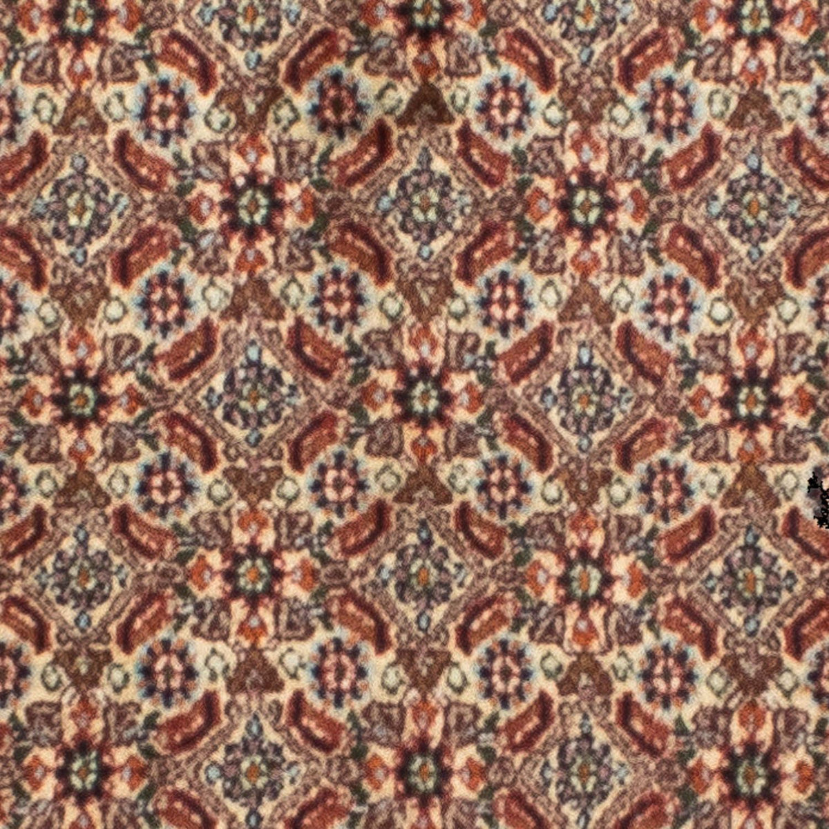 Runner Persisk matta - Classic - 246 x 80 cm - beige