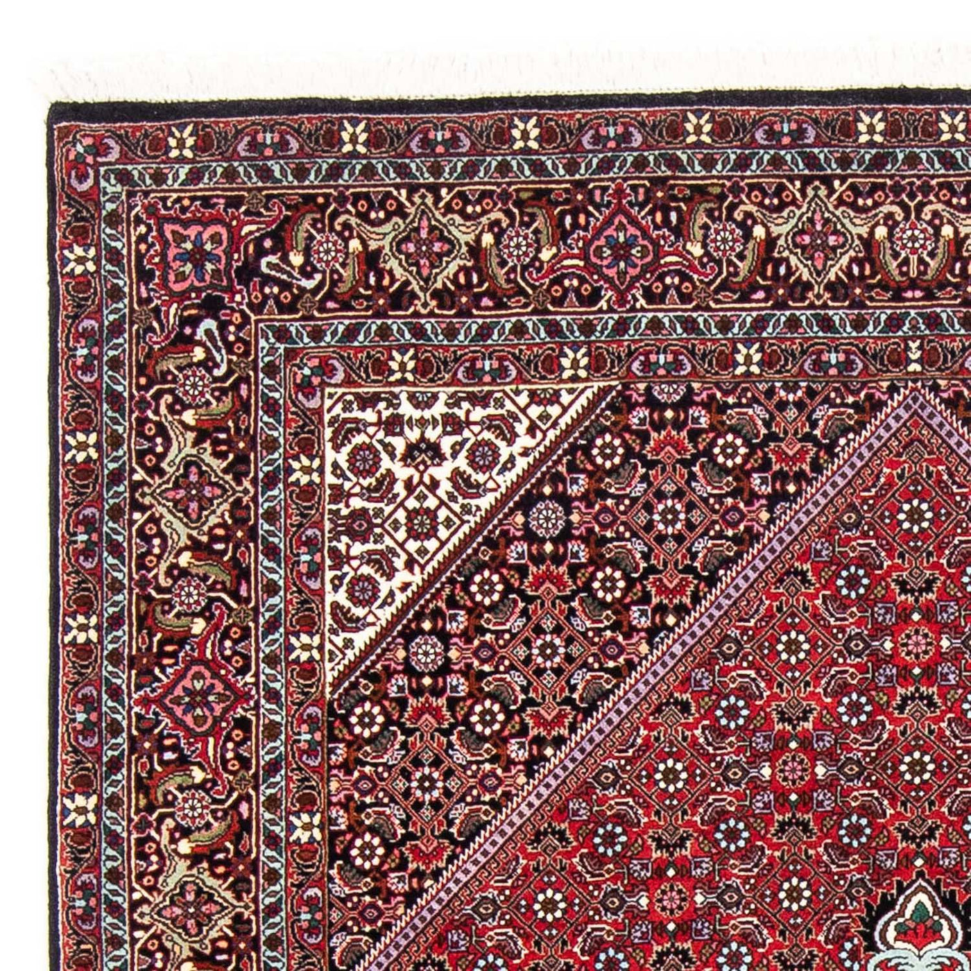 Bidjar Mattan 250x149cm - Persisk matta