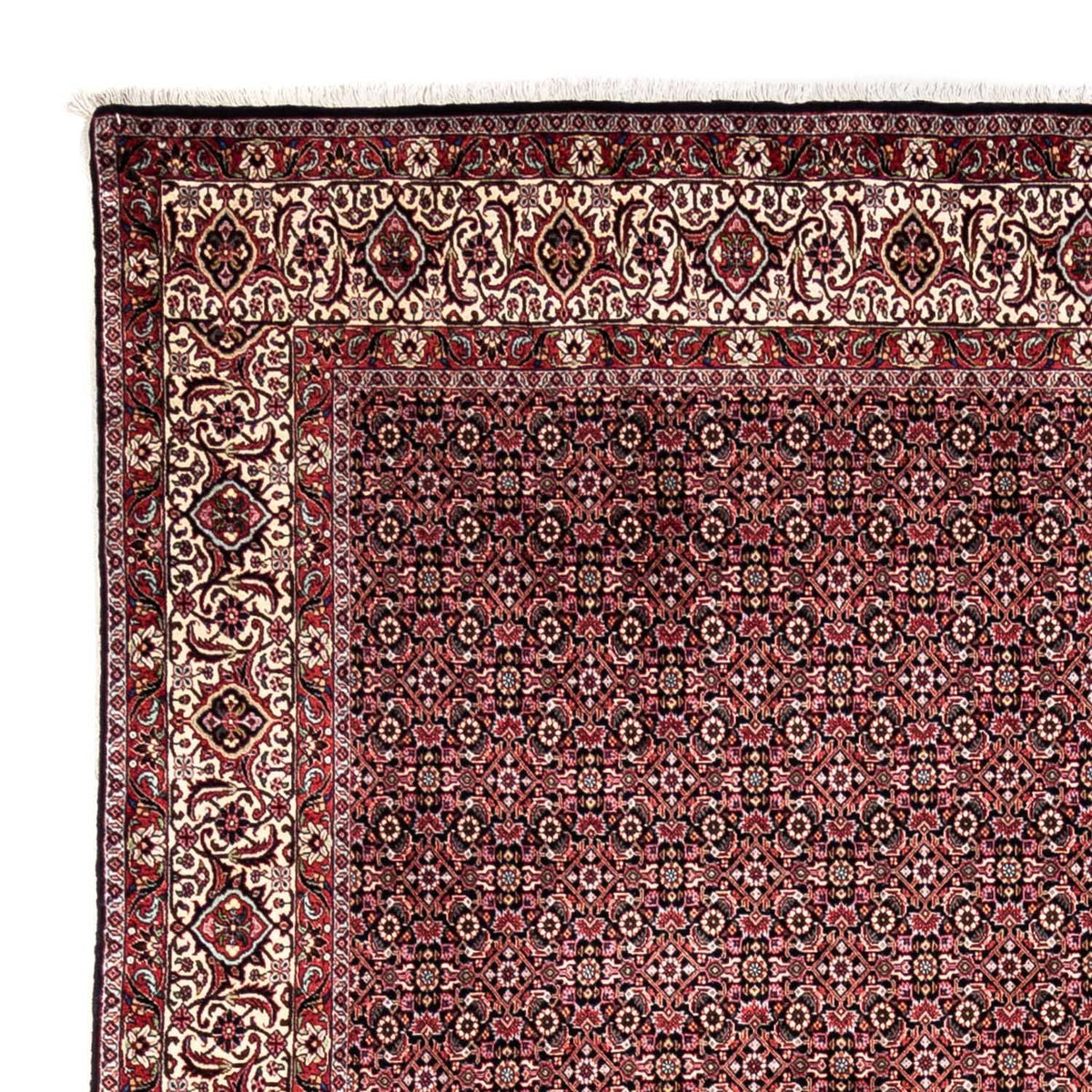 Bidjar - Takab Mattan 246x345cm - Persisk matta