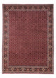 Bidjar - Takab Mattan 349x250cm - Persisk matta