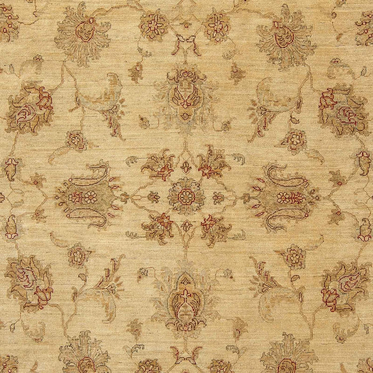 Ziegler Carpet - 315 x 246 cm - ljusbrun
