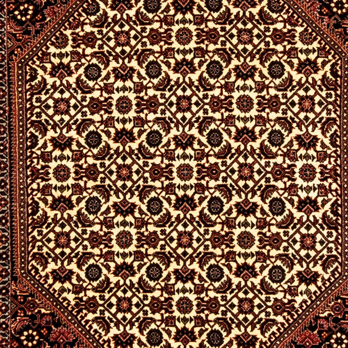 Runner Persisk matta - Bijar - 316 x 81 cm - flerfärgad