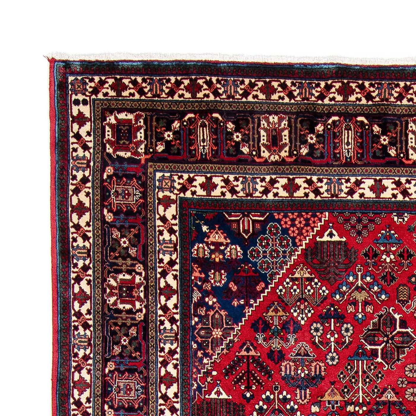 Meymeh Mattan 343x235cm - Persisk matta