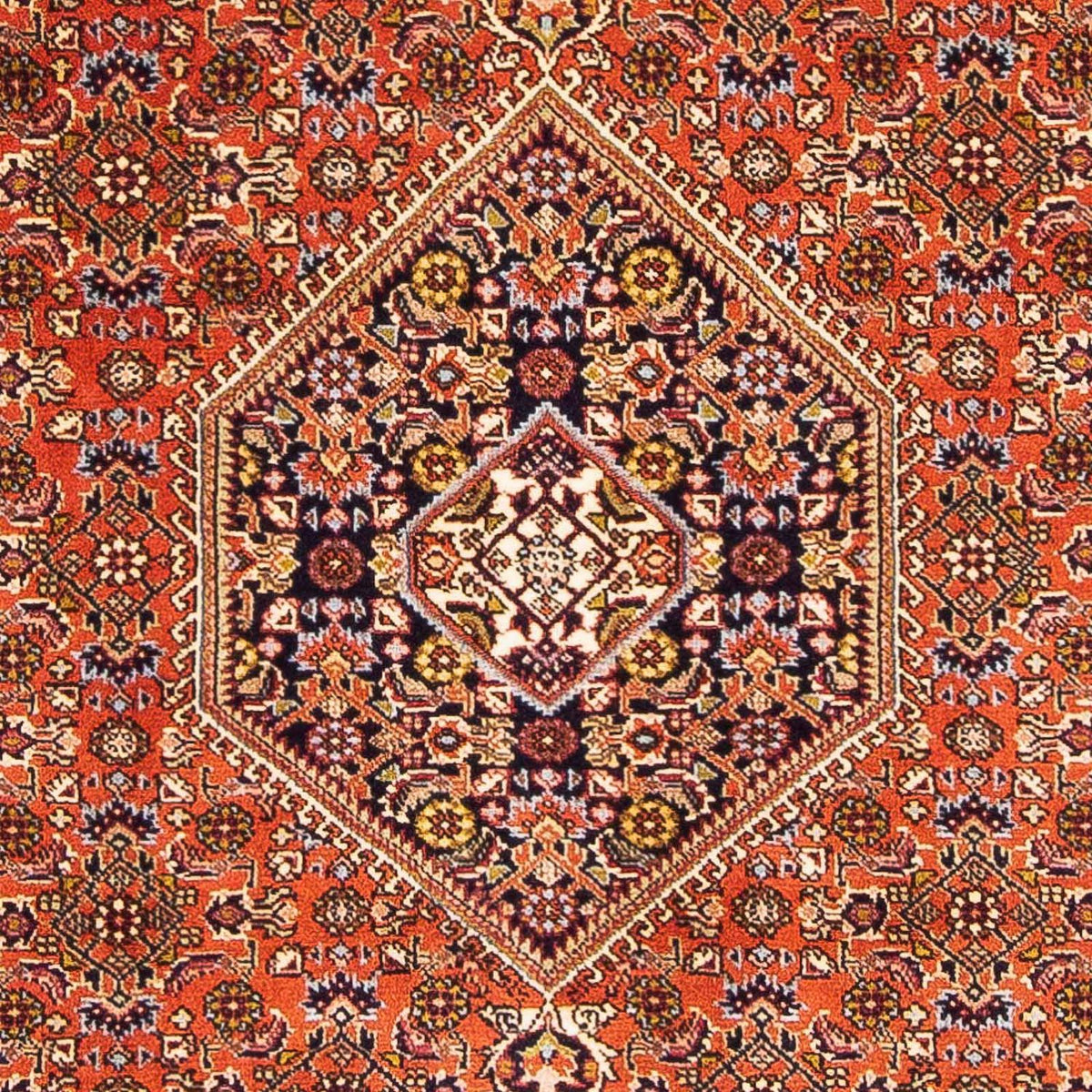 Persisk matta - Bijar - 162 x 106 cm - rosa