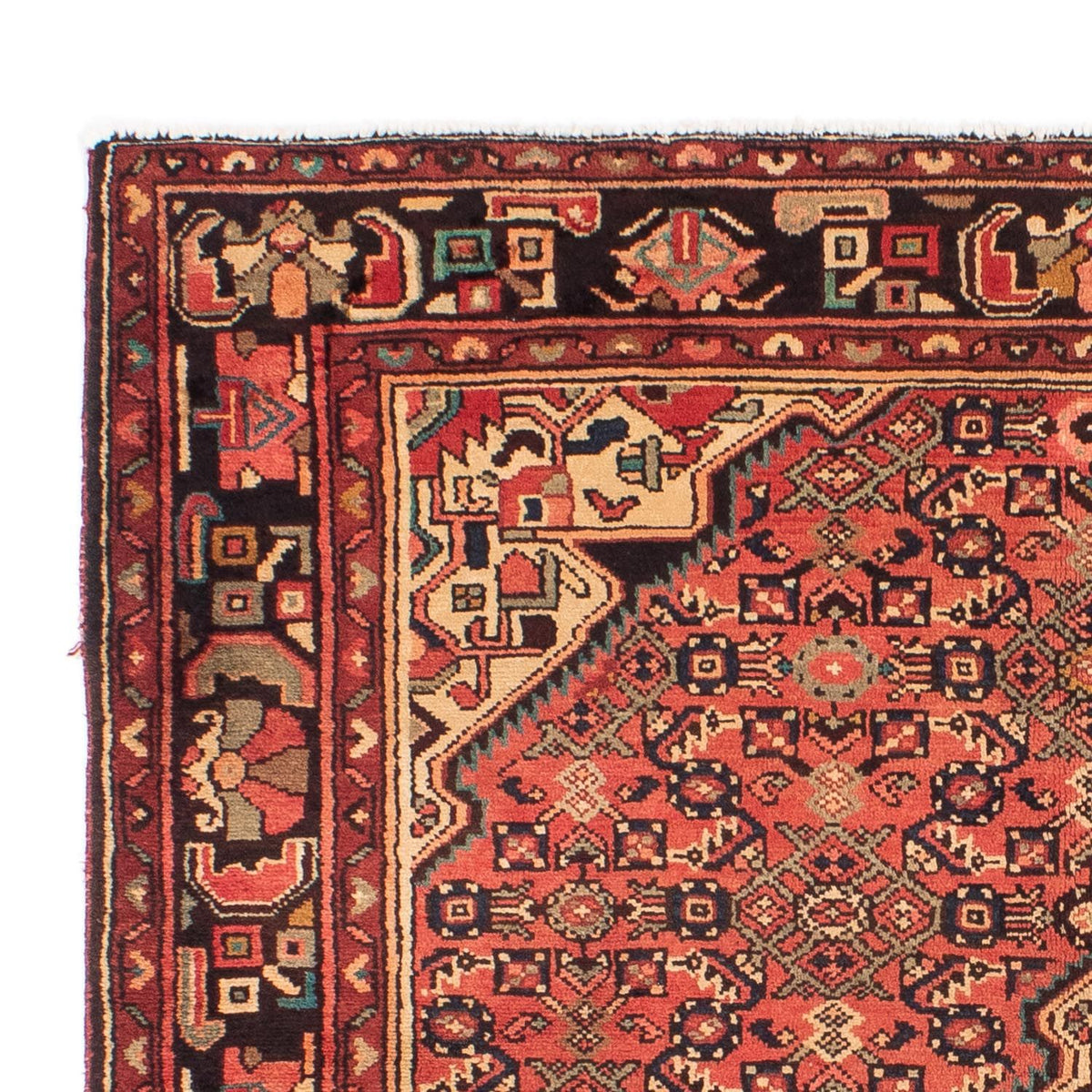 Hosseinabad Mattan 163x216cm - Persisk matta