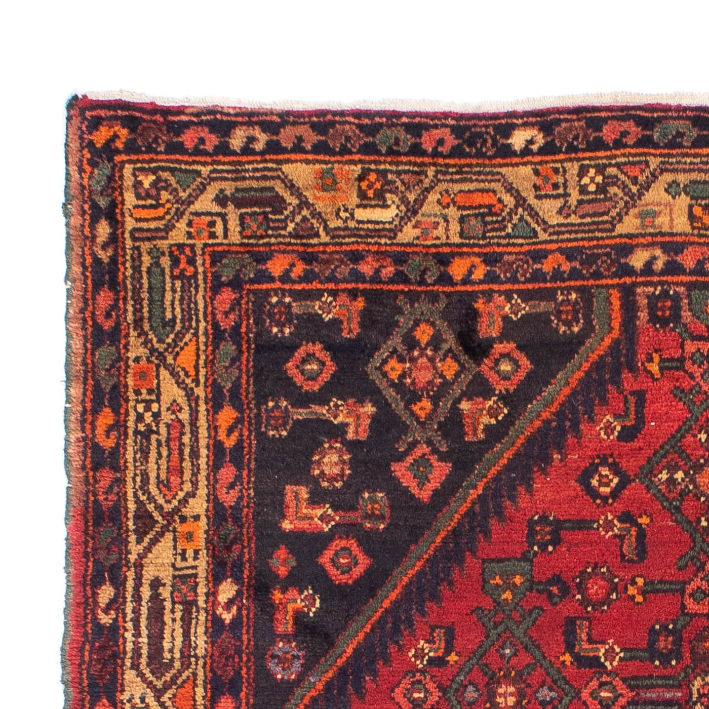 Hosseinabad Mattan 221x144cm - Persisk matta