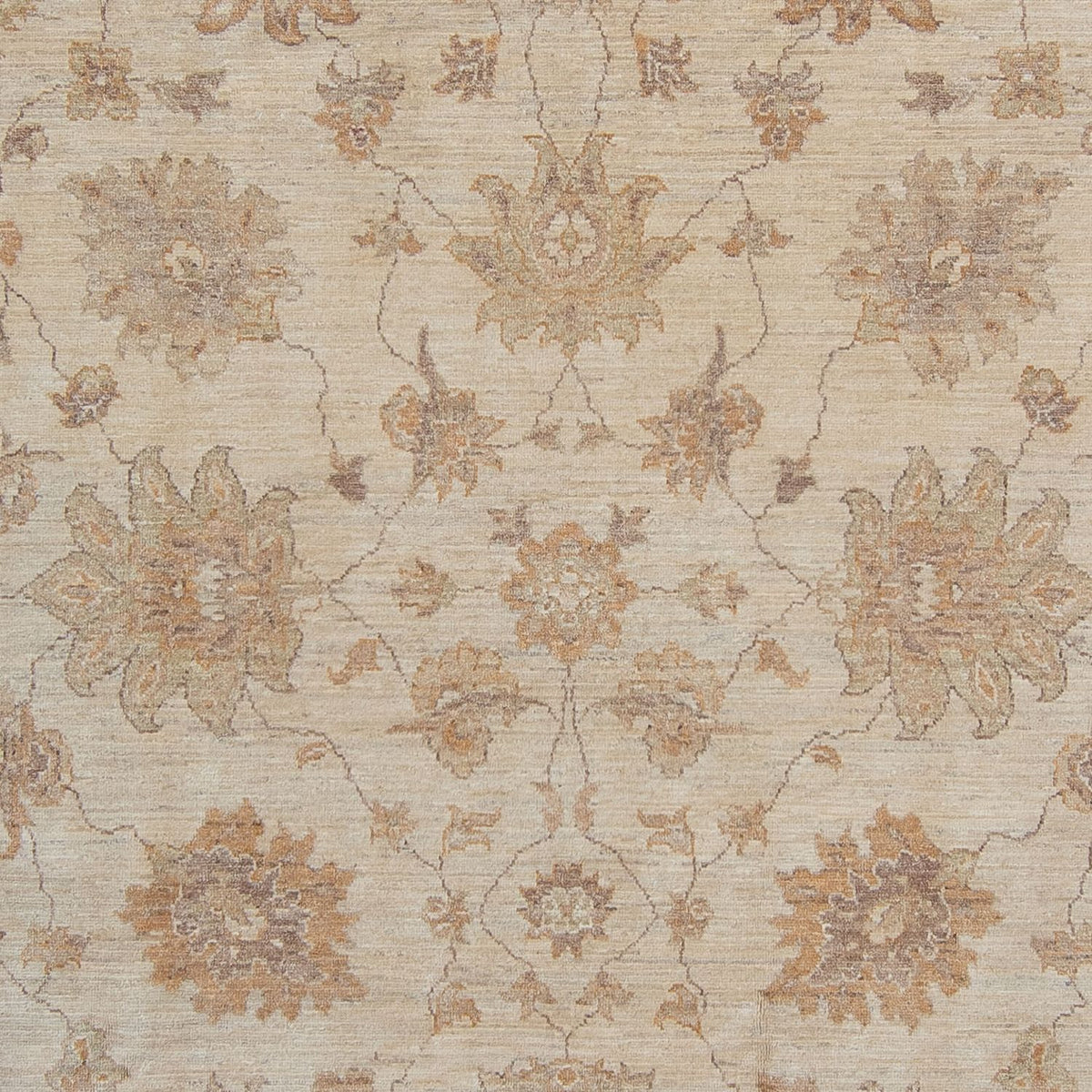 Ziegler Carpet - 337 x 249 cm - ljusbeige