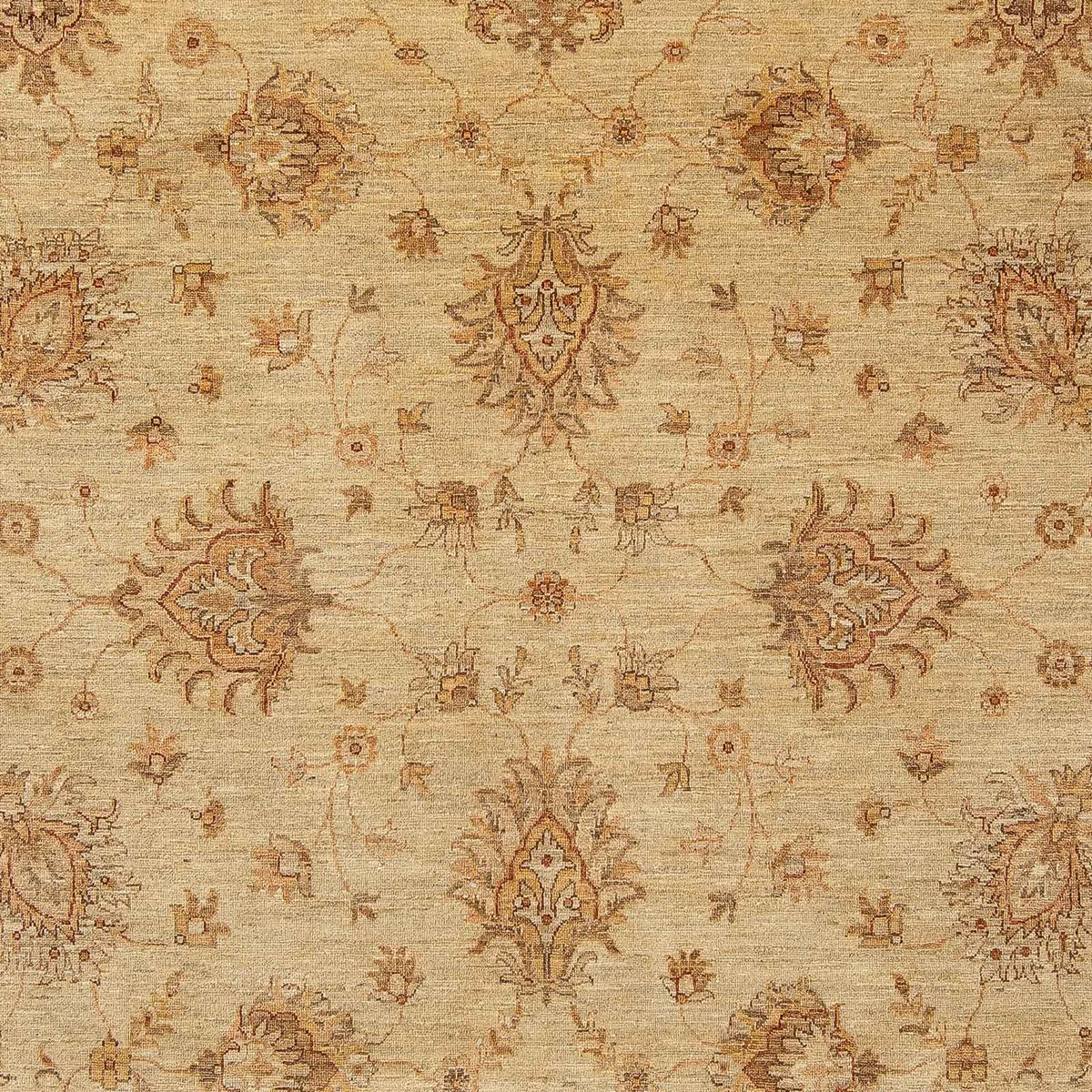 Ziegler Carpet - 293 x 244 cm - ljusbrun