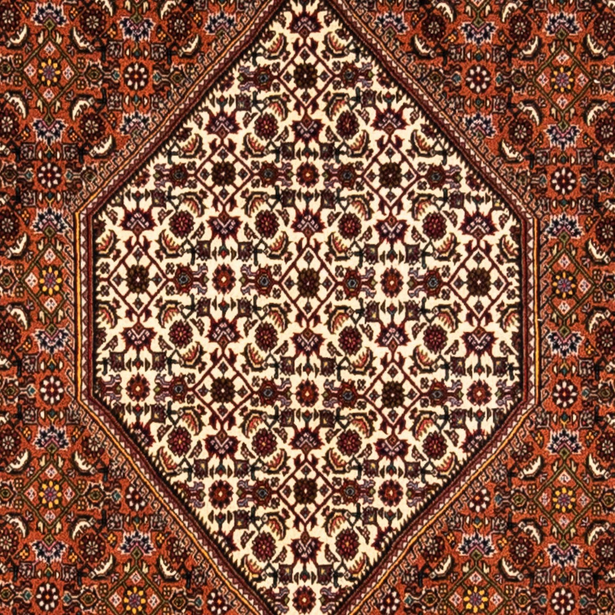 Persisk matta - Tabriz - 295 x 212 cm - rost