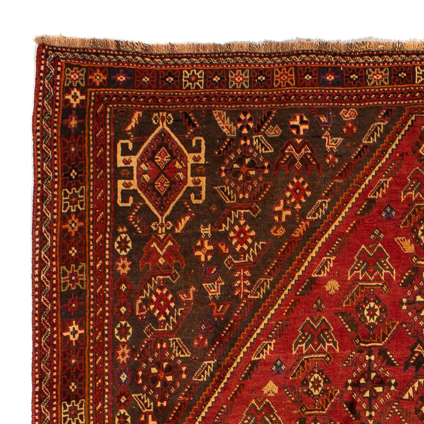 Shiraz Mattan 277x181cm - Persisk matta