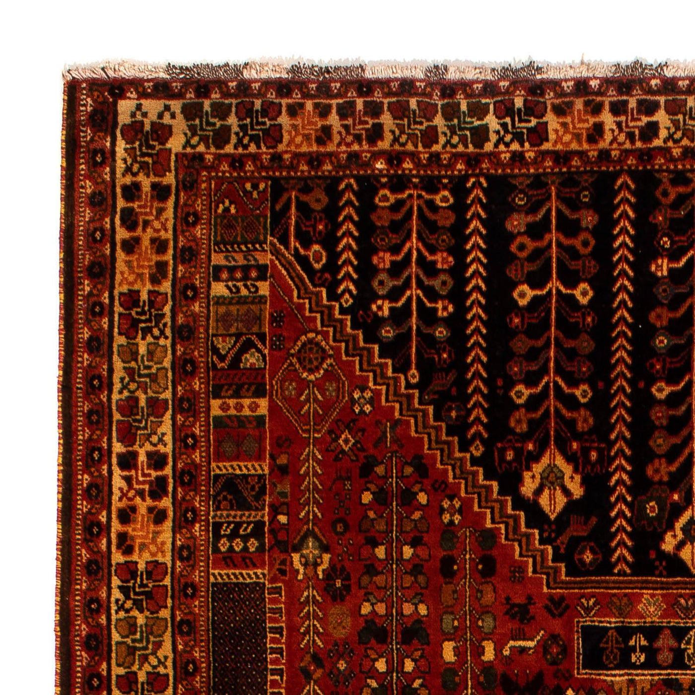 Shiraz Mattan 304x204cm - Persisk matta