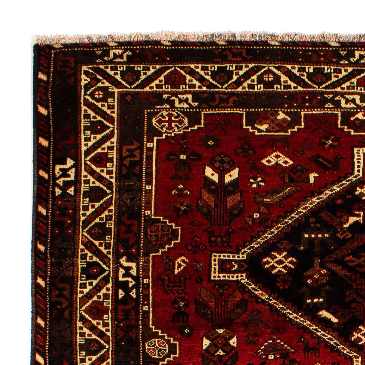 Shiraz Mattan 295x213cm - Persisk matta
