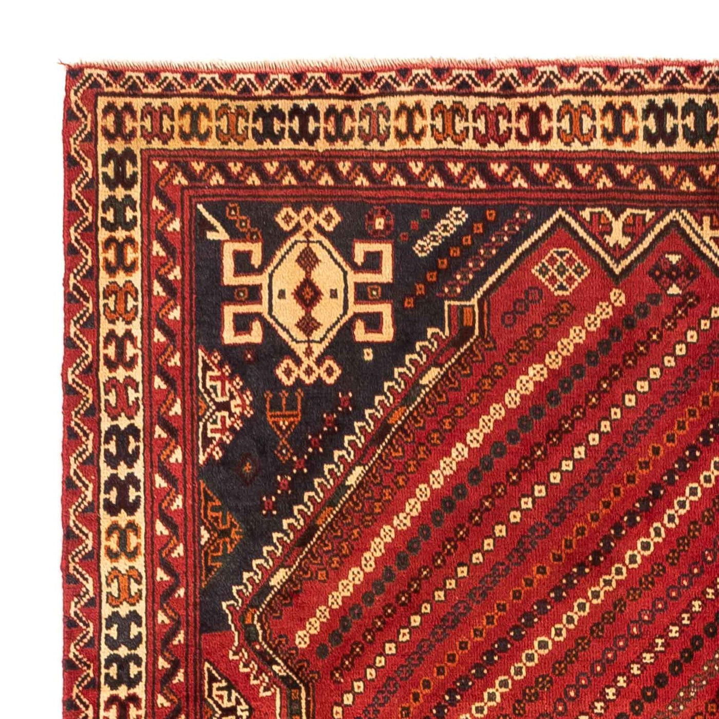 Shiraz Mattan 251x154cm - Persisk matta