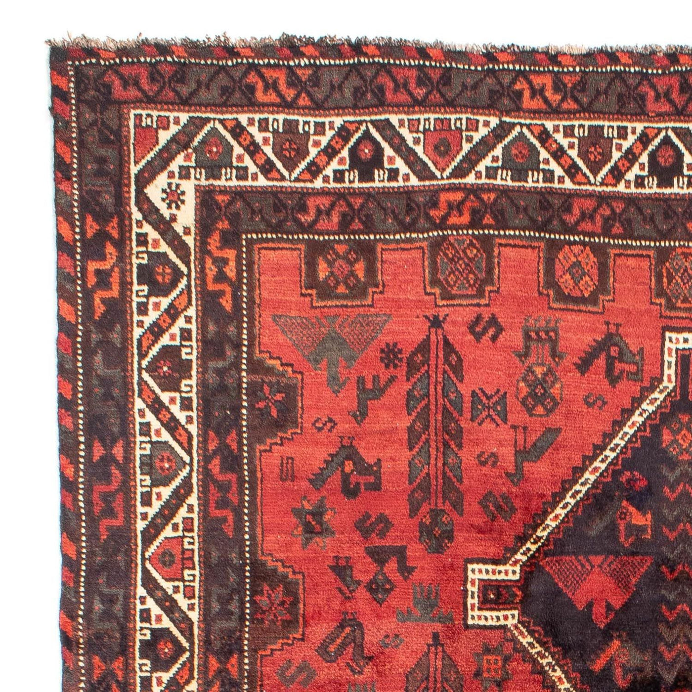 Shiraz Mattan 318x206cm - Persisk matta