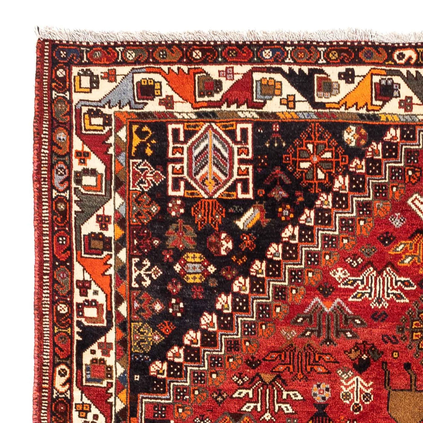 Shiraz Mattan 257x183cm - Persisk matta
