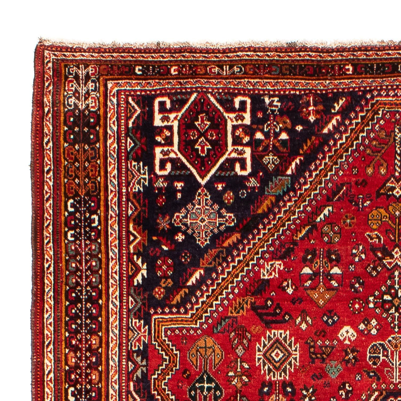 Shiraz Mattan 298x189cm - Persisk matta