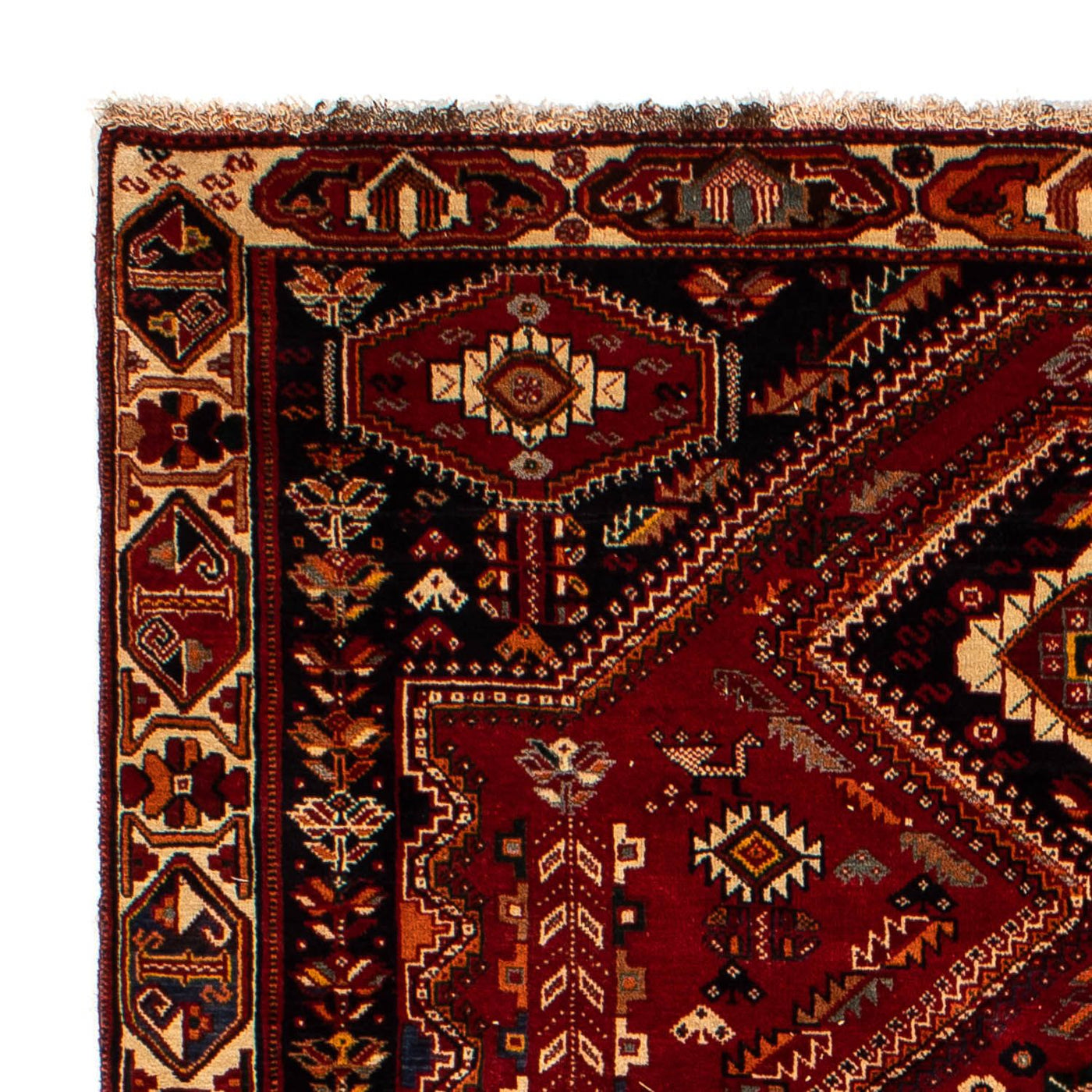 Shiraz Mattan 290x182cm - Persisk matta