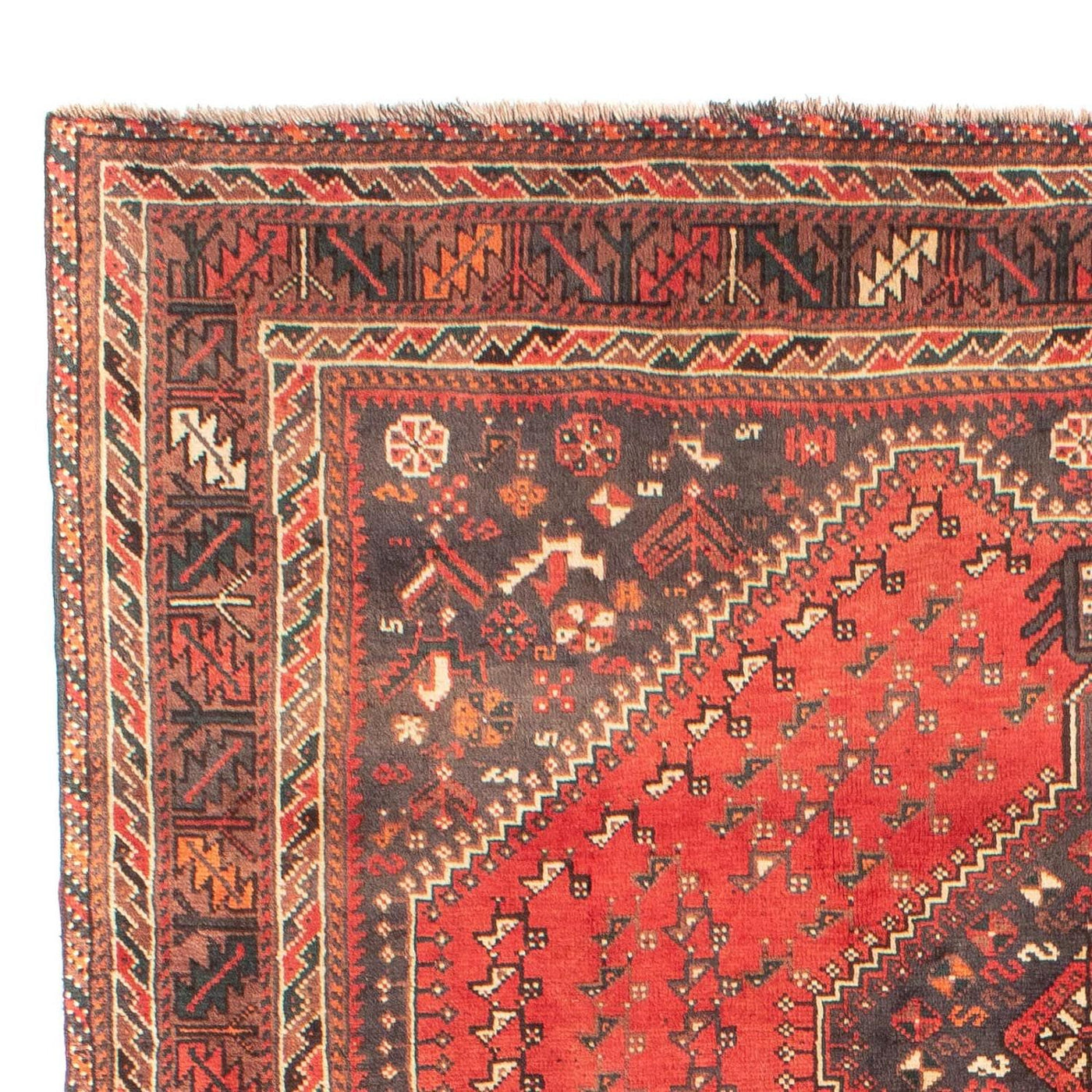 Shiraz Mattan 279x203cm - Persisk matta
