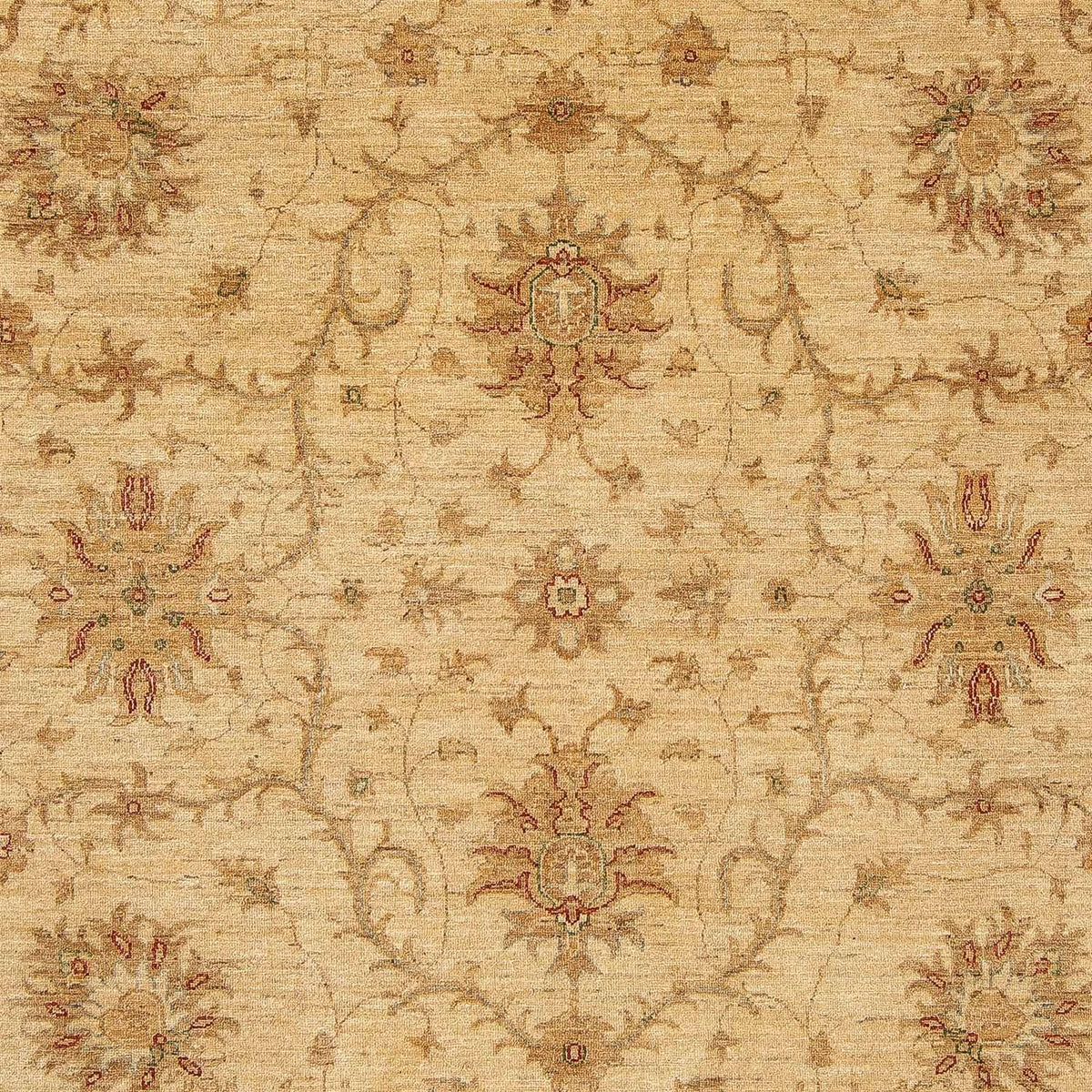Ziegler Carpet - 296 x 245 cm - ljusbrun
