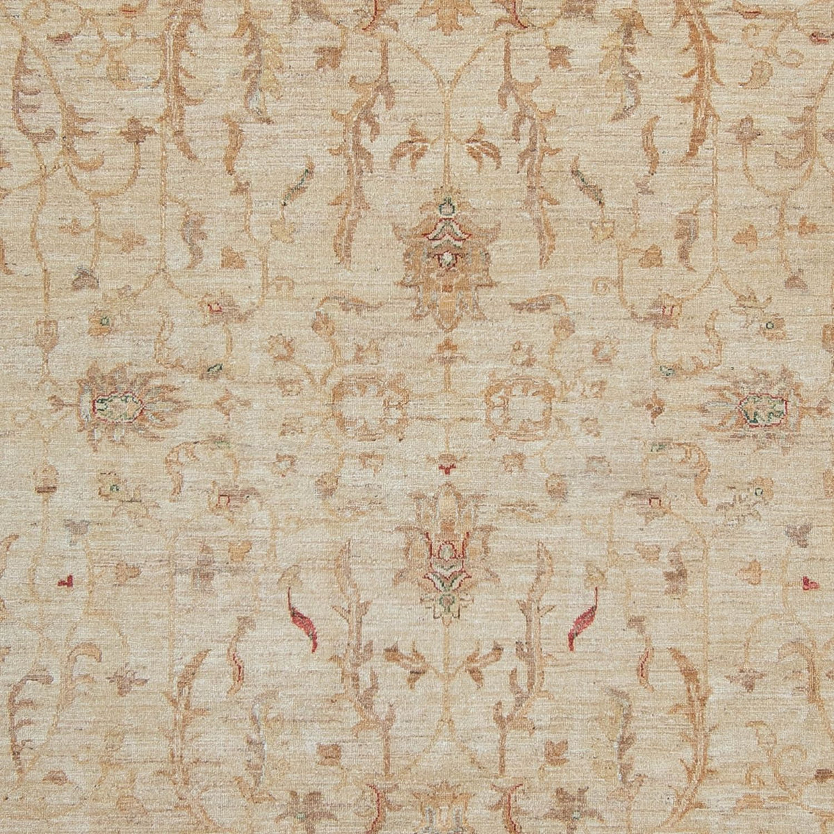 Ziegler Carpet - 347 x 245 cm - ljusbeige