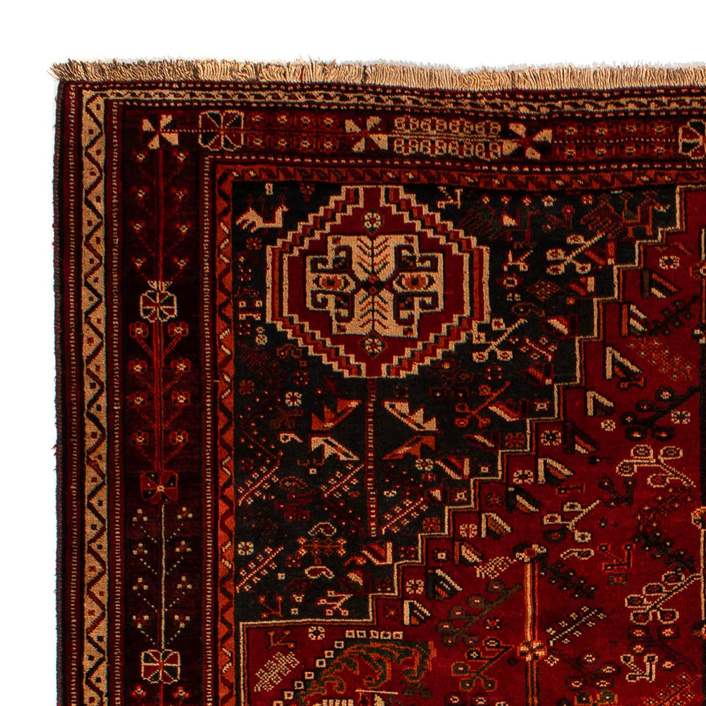 Qashqai Mattan 305x214cm - Persisk matta