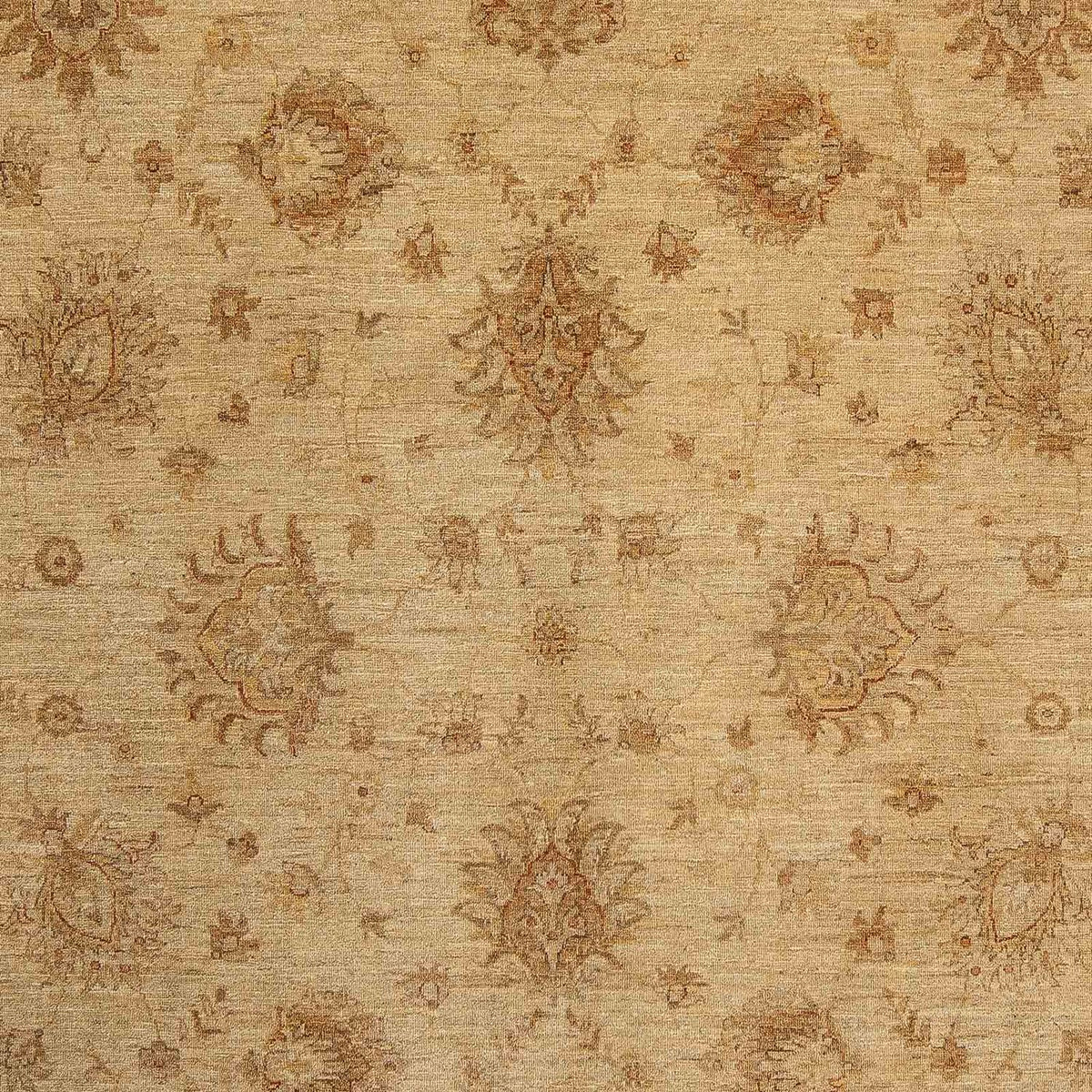 Ziegler Carpet - 290 x 246 cm - ljusbrun