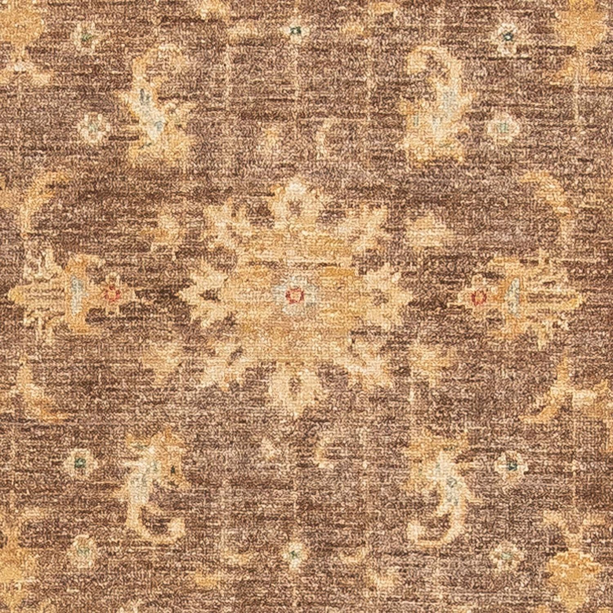 Runner Ziegler Carpet - 295 x 82 cm - brun